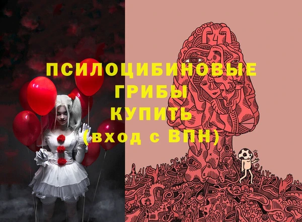 первитин Алексин