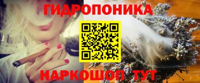 spice Волжск