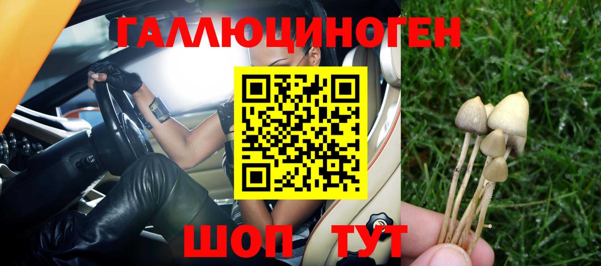 Псилоцибиновые грибы Cubensis  Вход с VPN  Крымск  закладки  Галлюциногенные грибы прущие грибы 
