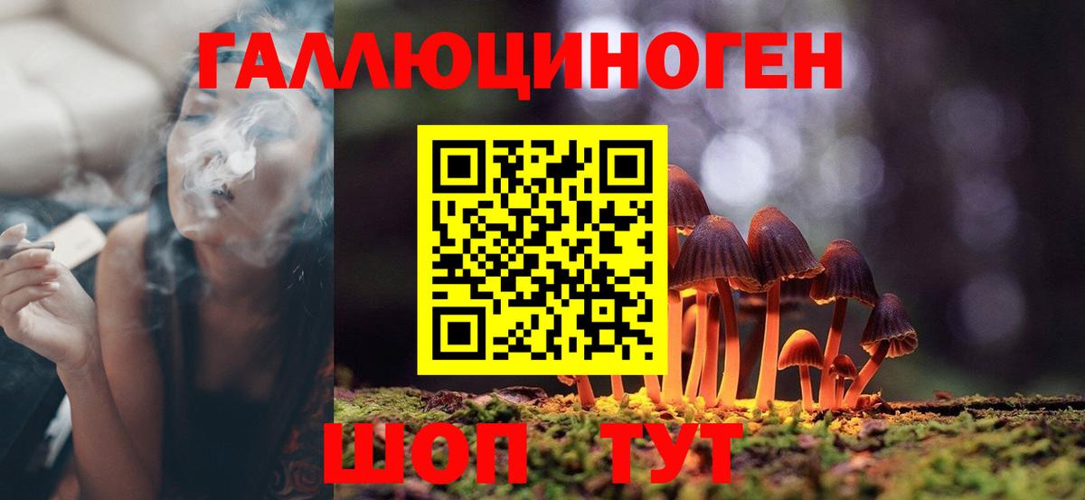 Псилоцибиновые грибы Cubensis Крымск
